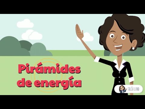 Piramide de energia ejemplos